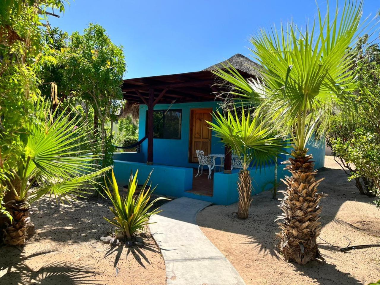 Cabo Pulmo Beach Resort מראה חיצוני תמונה
