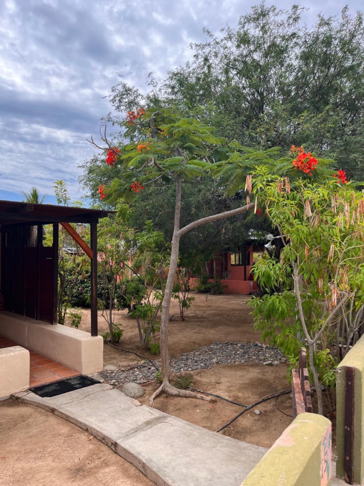 Cabo Pulmo Beach Resort מראה חיצוני תמונה